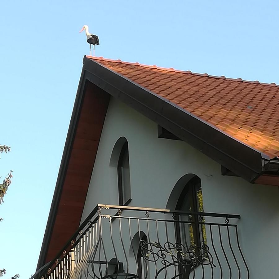 Gosciniec Twoje Mazury Nad Jeziorem Sniardwy Tuz Obok Plazy Nowe Guty Exterior photo